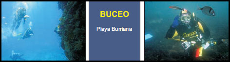 buceo